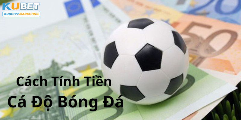 Hướng dẫn cách tính tiền cá độ bóng đá